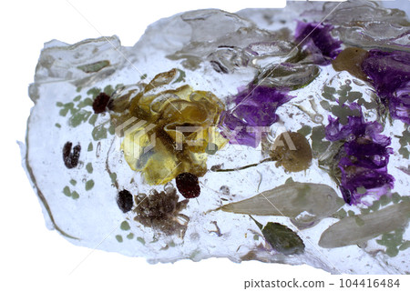 樹脂乾花 樹脂乾花 104416484