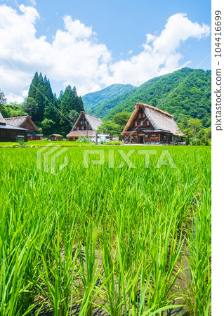 Gokayama Suganuma Gassho-zukuri Village (Summer) 104416699