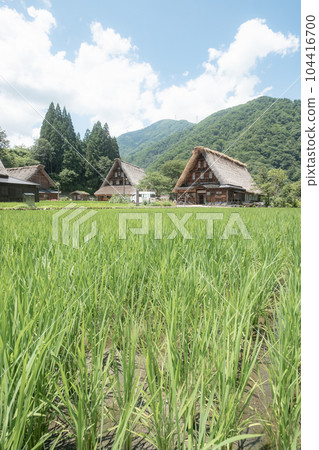 五箇山菅沼合掌造村（夏） 104416700