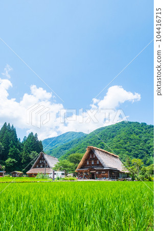 五箇山菅沼合掌造村（夏） 104416715