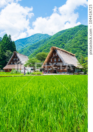 Gokayama Suganuma Gassho-zukuri Village (Summer) Gokayama Suganuma Gassho-zukuri Village (Summer) 104416725