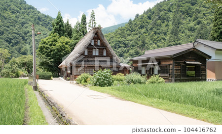 五箇山菅沼合掌造村(夏) 五箇山菅沼合掌造村(夏) 104416762