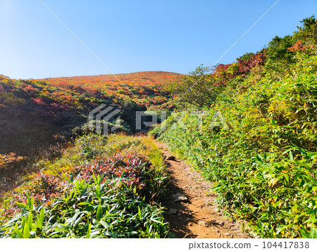 Kurikoma Mountain Climbing in Autumn (Ubanuma Course) 104417838