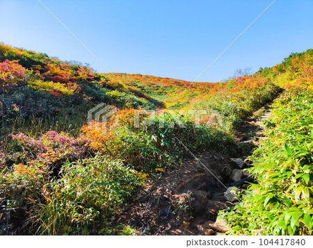 Kurikoma Mountain Climbing in Autumn (Ubanuma Course) 104417840