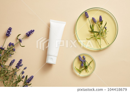 Unlabeled white tube arranged with glass petri dishes of lavender with essential oil. Blank label for product mockup of Lavender (Lavandula) extract 104418679