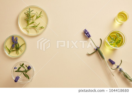 Laboratory glassware containing yellow essential oil and lavender flowers displayed on beige background. Blank space in the middle for product advertising of Lavender (Lavandula) extract Laboratory glassware containing yellow essential oil and lavender flowers displayed on beige background. Blank space in the middle for product advertising of Lavender (Lavandula) extract 104418680