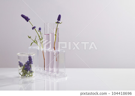 Several test tubes on a rack and a beaker with lavender flowers are displayed in the left side. Empty area in the right side for product promotion of Lavender (Lavandula) extract Several test tubes on a rack and a beaker with lavender flowers are displayed in the left side. Empty area in the right side for product promotion of Lavender (Lavandula) extract 104418696