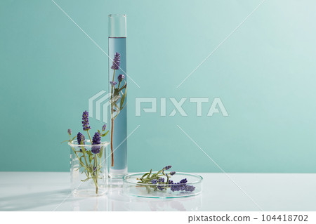 Measuring cylinder, beaker and petri dish arranged against pastel blue background. Concept of chemical, scientific experiment with Lavender (Lavandula) flowers Measuring cylinder, beaker and petri dish arranged against pastel blue background. Concept of chemical, scientific experiment with Lavender (Lavandula) flowers 104418702