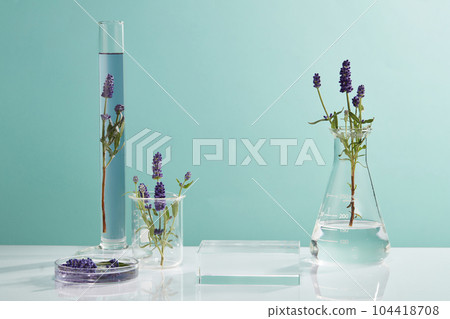 Laboratory experience and research concept with glassware containing lavender flowers and purple solutions. Square podium to show product extracted from Lavender (Lavandula) Laboratory experience and research concept with glassware containing lavender flowers and purple solutions. Square podium to show product extracted from Lavender (Lavandula) 104418708