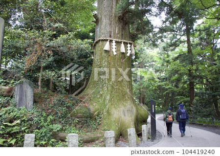 高尾山 高尾山 104419240