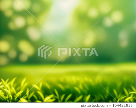 Green blurred background and sunlight 104421955
