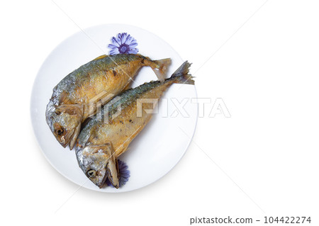 Above, Animal, Asia, Backgrounds, Calcium Above, Animal, Asia, Backgrounds, Calcium 104422274