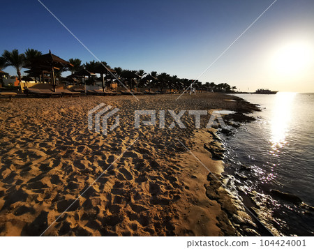 beach in the egypt 104424001