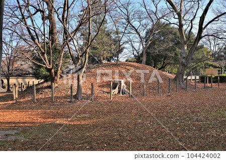 龍佐山仁德天皇陵（大阪府堺市） 104424002