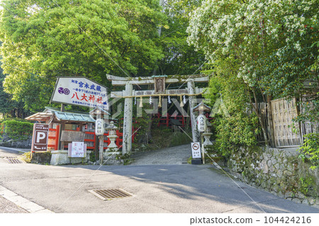 綠樹環繞的八台神社二之鳥居（京都府京都市左京區一乘寺） 104424216