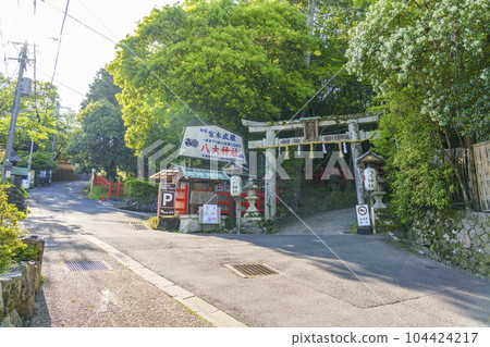綠樹環繞的八台神社二之鳥居（京都府京都市左京區一乘寺） 104424217
