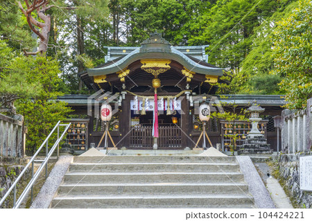 The main hall of Hachidai Shrine surrounded by fresh greenery (Ichijoji, Sakyo Ward, Kyoto City, Kyoto Prefecture) 104424221