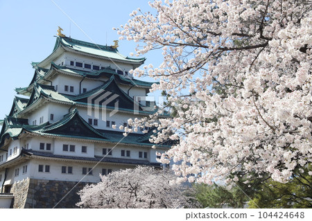 愛知縣佐倉市名城公園名古屋城 104424648