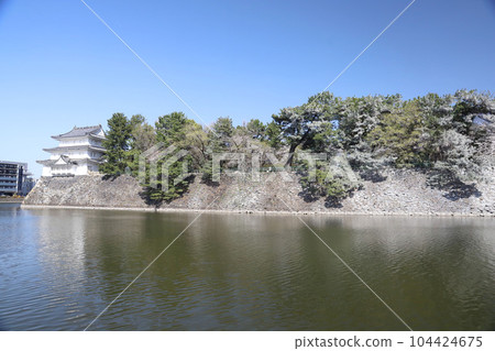 Nagoya Castle, Meijo Park, Sakura, Aichi Prefecture 104424675