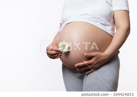Close-up of pregnant woman holding white daisy flower near her big belly, gently stroking him over isolated studio background. Healthy lifestyle in pregnancy time. Maternity. Obstetrics and gynecology Close-up of pregnant woman holding white daisy flower near her big belly, gently stroking him over isolated studio background. Healthy lifestyle in pregnancy time. Maternity. Obstetrics and gynecology 104424853