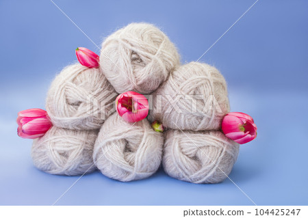 Group of gray wool of yarn and thread with pink tulip on blue background. Knitting, hobby, winter. Copy space. International women's and mother's day, 8 March, birthday Group of gray wool of yarn and thread with pink tulip on blue background. Knitting, hobby, winter. Copy space. International women's and mother's day, 8 March, birthday 104425247