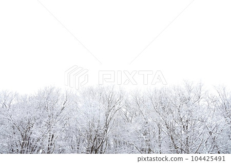 白雪覆蓋的枯樹和冬日的天空 雪景素材 白雪覆蓋的枯樹和冬日的天空 雪景素材 104425491