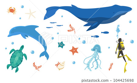海豚和鯨魚等海洋生物的插圖集 104425698