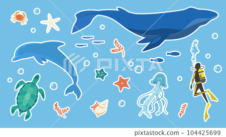 海豚和鯨魚等海洋生物的插圖集 104425699