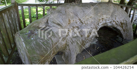 Ichifusayama Jingu Lower Shrine (Satomiya Shrine) 104426254