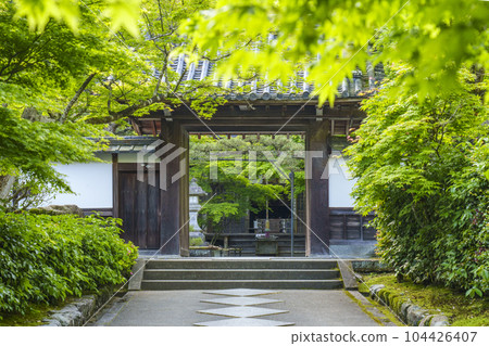 Nanzenji sub-temple, Saisho-in Kotoku-an, approach surrounded by fresh greenery Nanzenji sub-temple, Saisho-in Kotoku-an, approach surrounded by fresh greenery 104426407