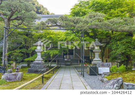 南禪寺分院最勝院高德庵本堂結緣松 104426412