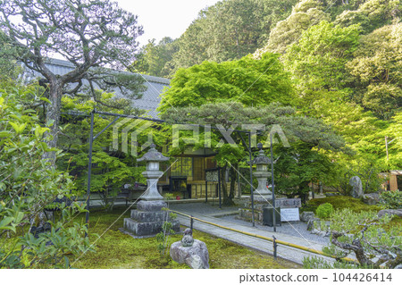 南禪寺分院最勝院高德庵本堂結緣松 南禪寺分院最勝院高德庵本堂結緣松 104426414