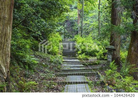 南禪寺深處的未知聖地，通往南禪寺奧之院的山路 104426420