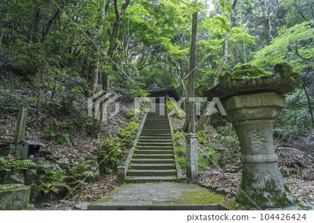 南禪寺深處的未知聖地，通往南禪寺奧之院的山路 104426424