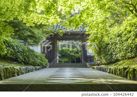 Nanzenji sub-temple, Saisho-in Kotoku-an, approach surrounded by fresh greenery 104426442