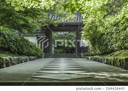 Nanzenji sub-temple, Saisho-in Kotoku-an, approach surrounded by fresh greenery 104426445