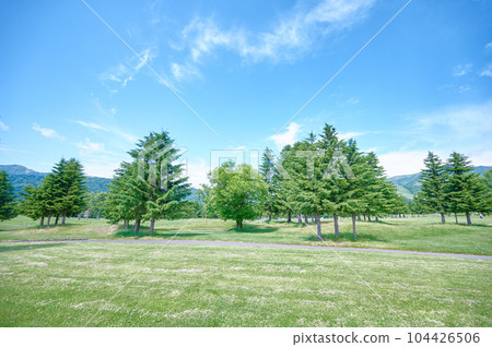 寬敞靜謐的景色，藍天，牧場，自然，療愈 104426506