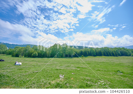 藍天和牧場牛奶牛 藍天和牧場牛奶牛 104426510