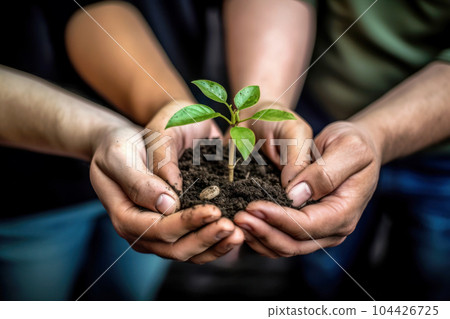 People's hands holding a small green plant 104426725