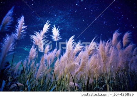 starry sky and pampas grass starry sky and pampas grass 104426989