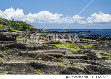 The seascape of Jogashima Island, the southernmost tip of the Miura Peninsula [Miura City, Kanagawa Prefecture] 104427855