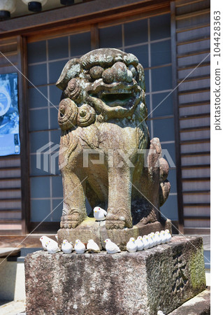 三宅八幡宮的鴿子（京都市左京區上高野） 104428363