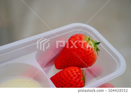 Eat freshly picked strawberries with condensed milk. 104428552