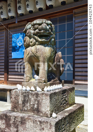 三宅八幡宮的鴿子（京都市左京區上高野） 104428743