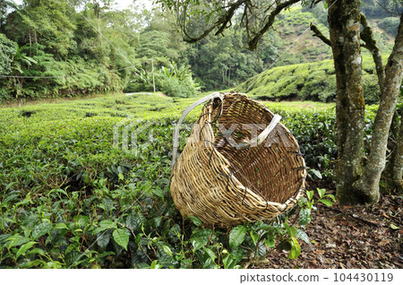 Sungai Palasti Garden Sungai Palasti Garden 104430119