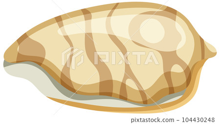 Isolated shell rocky shore Isolated shell rocky shore 104430248