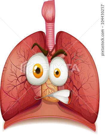 Human lungs with face expression 104430257