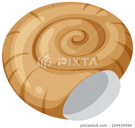 Isolated shell rocky shore Isolated shell rocky shore 104430490