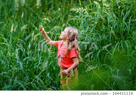 A Happy Girl Embraces the Joys of Childhood as She Explores a Summer Creek, Immersing Herself in Nature's Wonders and Playful Discoveries. Preschool Child and Summertime. A Happy Girl Embraces the Joys of Childhood as She Explores a Summer Creek, Immersing Herself in Nature's Wonders and Playful Discoveries. Preschool Child and Summertime. 104431119