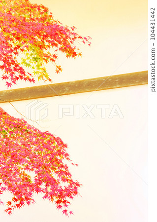 Autumn leaves Autumn leaves 104431442